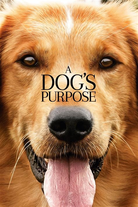 a dog's purpose movie online